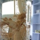 백초(여) 이미지