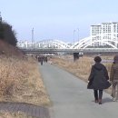 온화하다