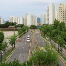 망월천_호수공원1 이미지