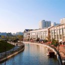 금빛나라조명