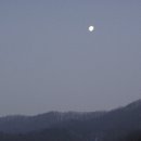 비발디의아침 이미지