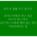 교촌태양광 이미지