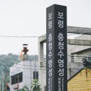 상쾌함과 시원함이 있는 여름 휴가 여행지 '보령' 이미지