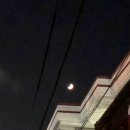 시토시토 이미지