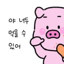 대박향어 이미지