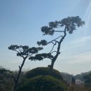 오성장미수목원 이미지