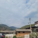 공주집 Daum카페