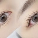 직접 경험한 ‘모재생테라피 두류인증점’ 탈모 관리 후기 (강조 버전)