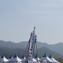 2025 구례 산수유 꽃축제 마지막 날, 솔직 후기!!