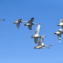 경안천 4 이미지