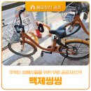 금강하구둑 자전거대여소 | 올봄엔 공주 무료 공공자전거 백제씽씽 타고 씽씽 달려요!