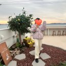 <b>피그힙</b> 반윤희 fave 패딩 후기 + 착샷추가