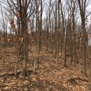 소요동사무소 이미지