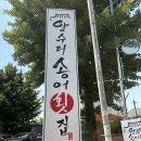 송어사냥 | [내돈내산] 양평 송어 맛집 양수리송어횟집 후기!