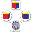 눈안경원 이미지