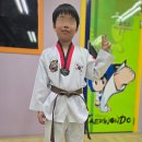 용인대명인태권도 이미지