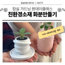 친환경 식물로 소품만들기 | 송파] 이색데이트 추천! 주말 가드닝 클래스 , 친환경 제스모나이트 화분만들고, 아프리카식물 입양하기