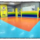 경희대라이언태권도장 이미지