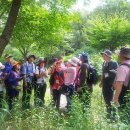 (사)충북숲해설가협회 네이버블로그