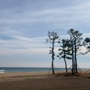 할리스 낙산 해수욕장점 | 양양 1박2일 여행 후기｜낙산해변 산책 코스 + 낙산사 방문 (주차, 입장료, 맛집)
