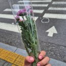 네일또바영