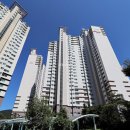 수영-302 이미지