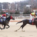 와우와우 이미지