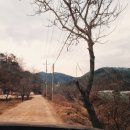 광덕목장 이미지