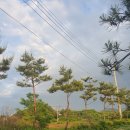 동광목장 이미지