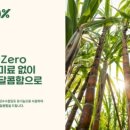 골드브릭스뉴욕