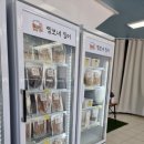 찡보네징어 이미지