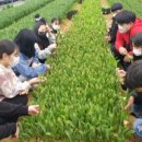 김제농장 이미지