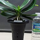 누리팜(주) 이미지