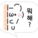 볼로(VOLO)