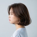 볼륨미용실 - 강서구 | 볼륨미용실