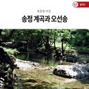 전북 순창군 송정계곡~송정뒷산 + 정읍시 충렬사~성황산 코스/2025.6.29.일 이미지
