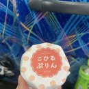 [일본] 시라카와고 &amp; 다카야마 태교 여행 스토리 🌨️ (투어 후기)