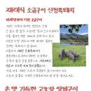 산청칡냉면 이미지