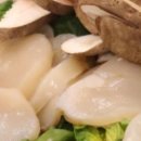 여수새조개 행운무궁화 이미지