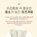 라본브아 네이버블로그