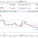 주식회사 셀투어