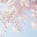 미스터홈즈부동산공인중개사사무소하남미사 이미지