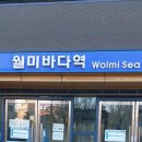 월미공원~인천항 갑문 이미지