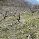 새수원부동산중개사무소 이미지