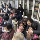 송현유치원 이미지