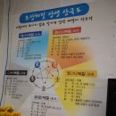 친친아로마