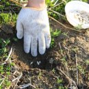 당하농장 이미지