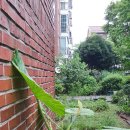 천남농장 이미지