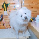 이쁘개(내포신도시점) 이미지