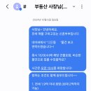 금싸라기부동산중개 | 버팀목 전세자금대출이 나오는 매물 구하는 방법(feat. 부동산에 연락하는 방법)